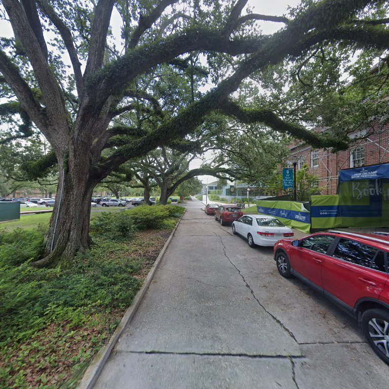 New Orleans Shakespeare Festival at Tulane