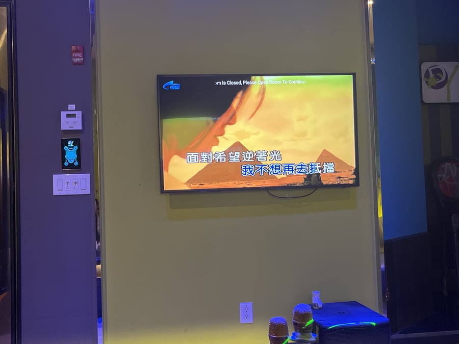 DIY KTV Flagship Store