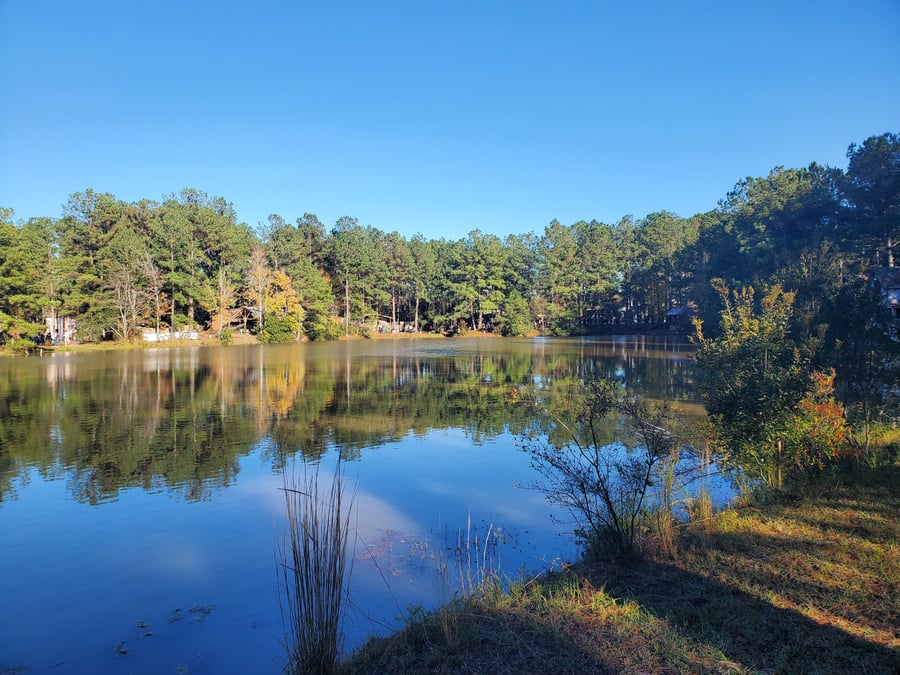 Louisiana Renaissance Festival