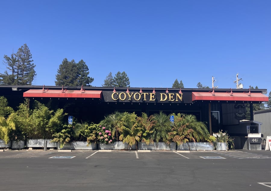 Coyote Sonoma