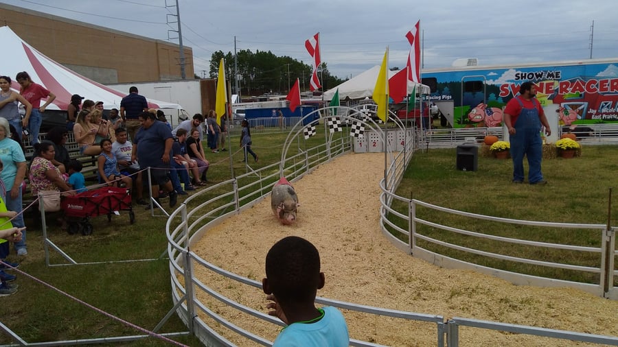 Mississippi Livestock Arena