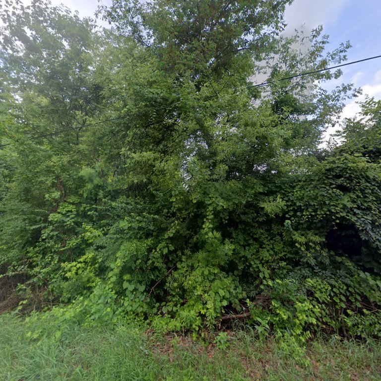 Caledonia Community Players