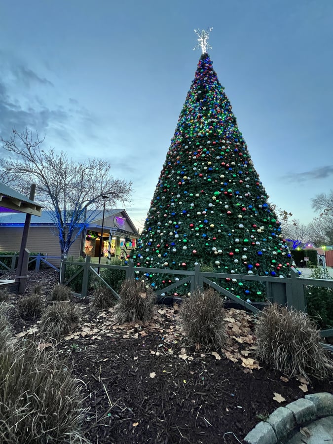 All-Star Amphitheater