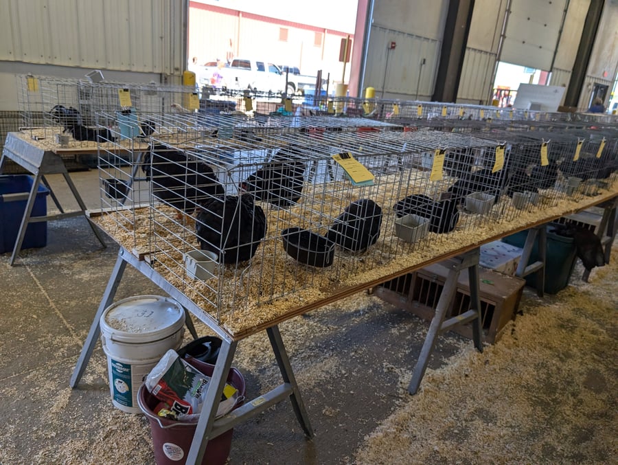 Five Points Bank Arena