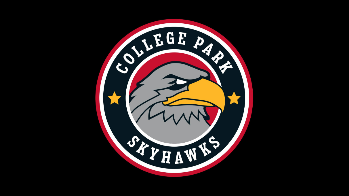 College Park Skyhawks vs. Greensboro Swarm