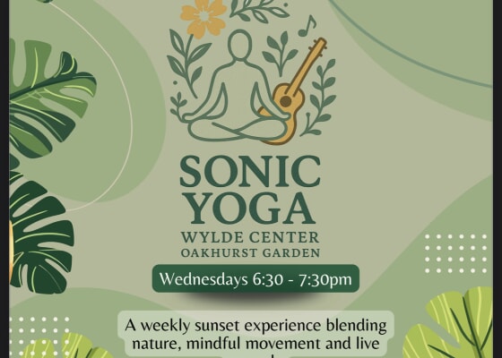 Sonic Yoga