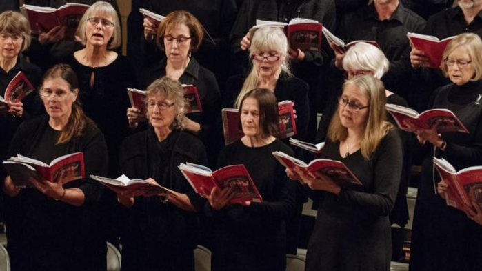 Borealis Chorale & Orchestra Annual Winter Concerts