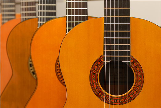 Minnesota Guitar Society Classical Guitarathon