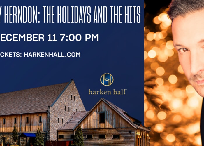 Ty Herndon The Holidays and the Hits