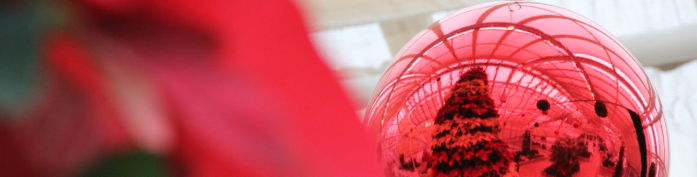 Musical Performance (All Ages) Urban Strings Dec 13 | Included