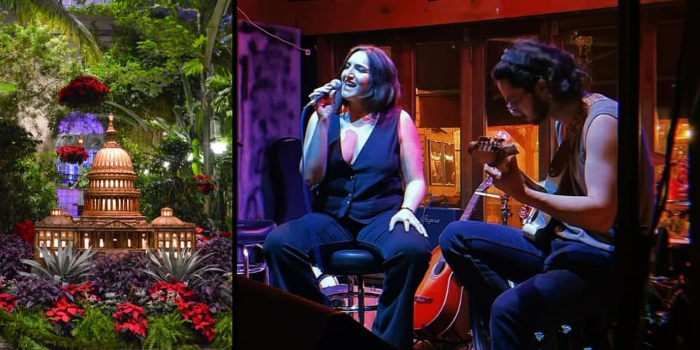 Holiday Evening Hours at the Garden with Josee