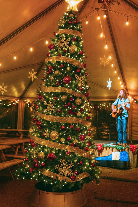 Songwriter in the Pavilion Tent