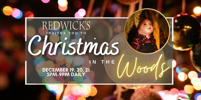 Christmas in the Woods