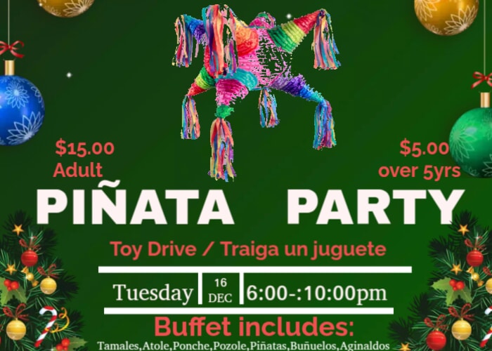 Christmas Piñata Party (Posada Navideña)