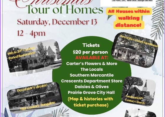 A Christmas Tour of Homes