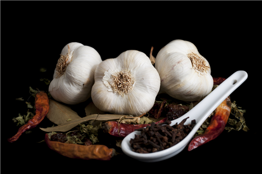 Off-Road Vehicle Vineyard Tour & Tasting!