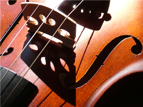 The Brandenburgs: A Live Performance of Bach's Concertos