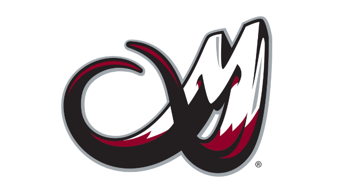 Colorado Mammoth vs. Rochester Knighthawks