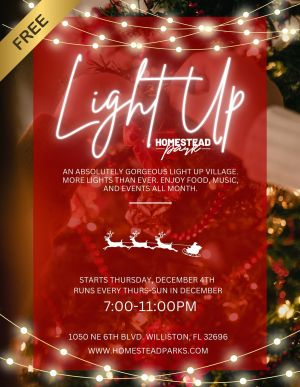 Light-up Homestead Park