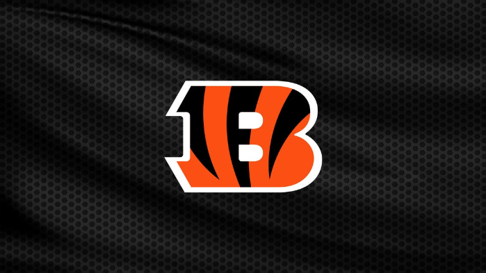 Cincinnati Bengals vs. Baltimore Ravens