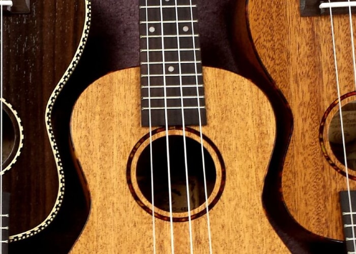 Adult Ukulele Class Series