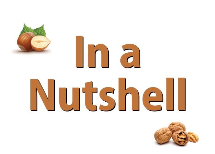 Maryland Winds - In a Nutshell