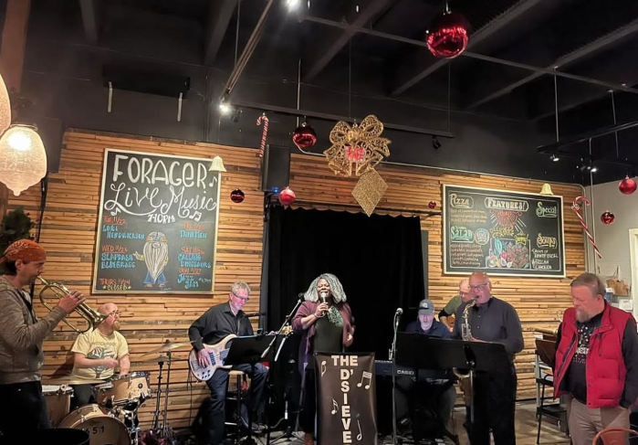 JAZZ JAM XMAS edition with The D'Sievers Sun Dec 14 6-9 p.m.