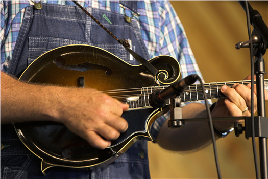 LIVE MUSIC: Tim + Dani Bluegrass Duo
