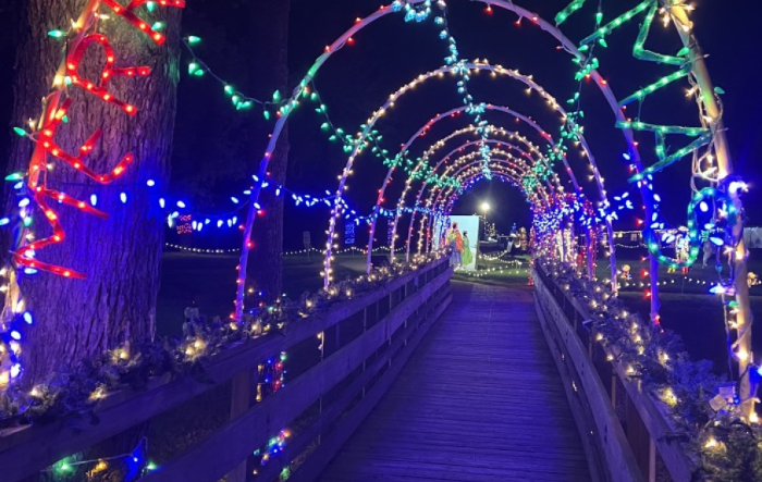 Trail of Lights: Lights-Only