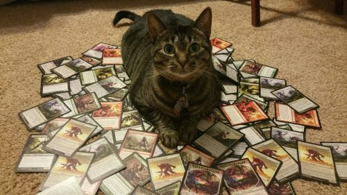 Merlyn's 6pm Friday Night Magic Chaos draft