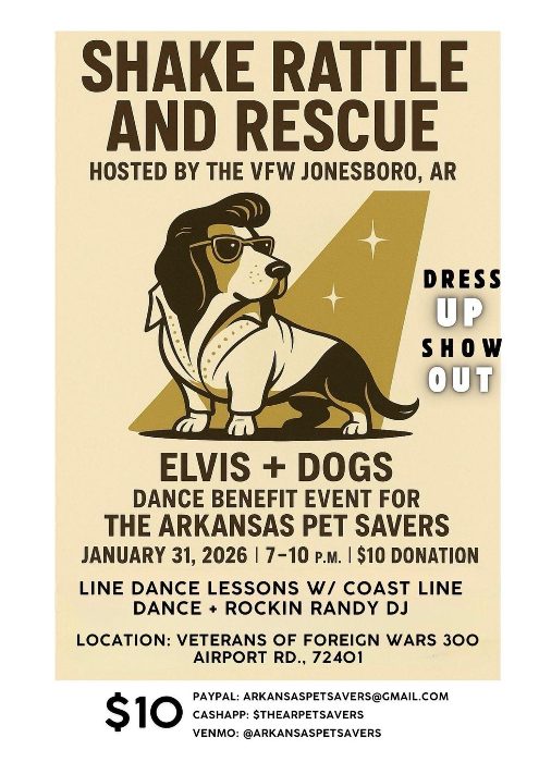 Shake Rattle And Rescue