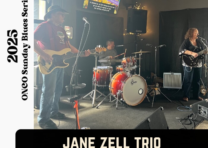 SUNDAY BLUES SERIES: Jane Zell Trio