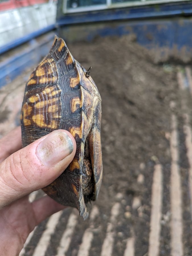 Wild Works Animal Show Amphitheater
