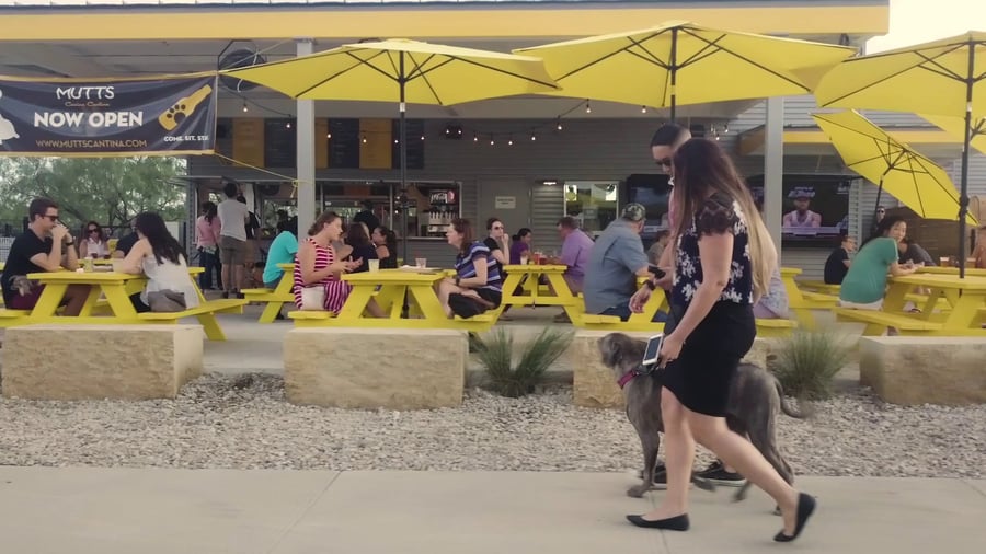 THE TAILGATE ATX (Formally MUTTS Canine Cantina)