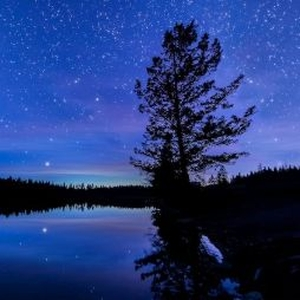 Barbara Higbie & Kofy Brown & Mia Pixley & Vicki Randle