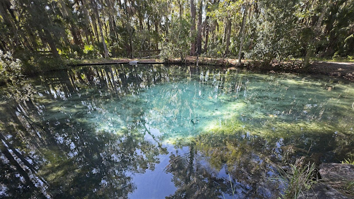 FNPS Pawpaw Chapter field trip to Mud Spring