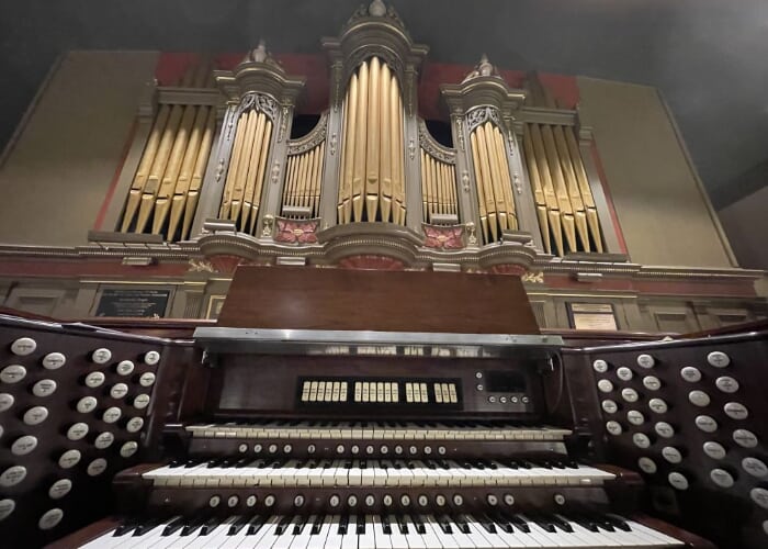 Organic Reflections: Moments of Majesty