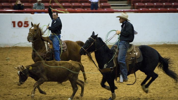 Houston Rodeo w/ Cody Johnson