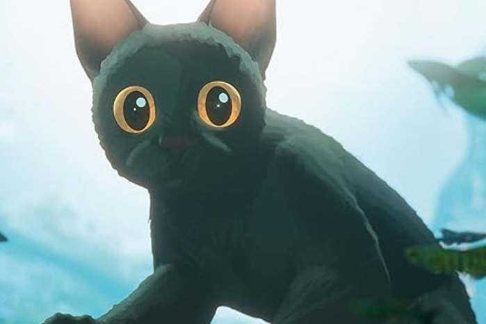 Cube Cinema Series: Flow