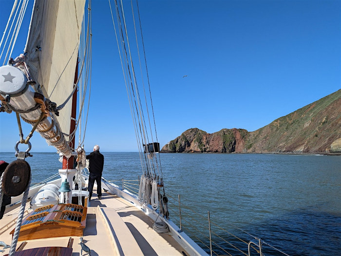 Memorial Day Wildlife Sail under the Golden Gate Bridge 2026