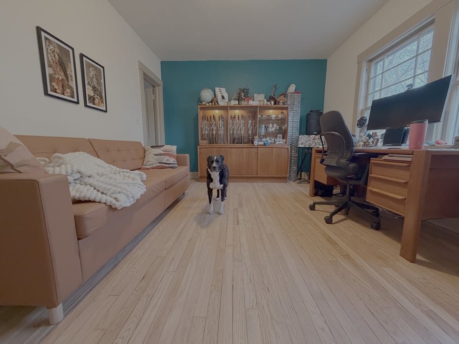 Clever Clarinetist, LLC