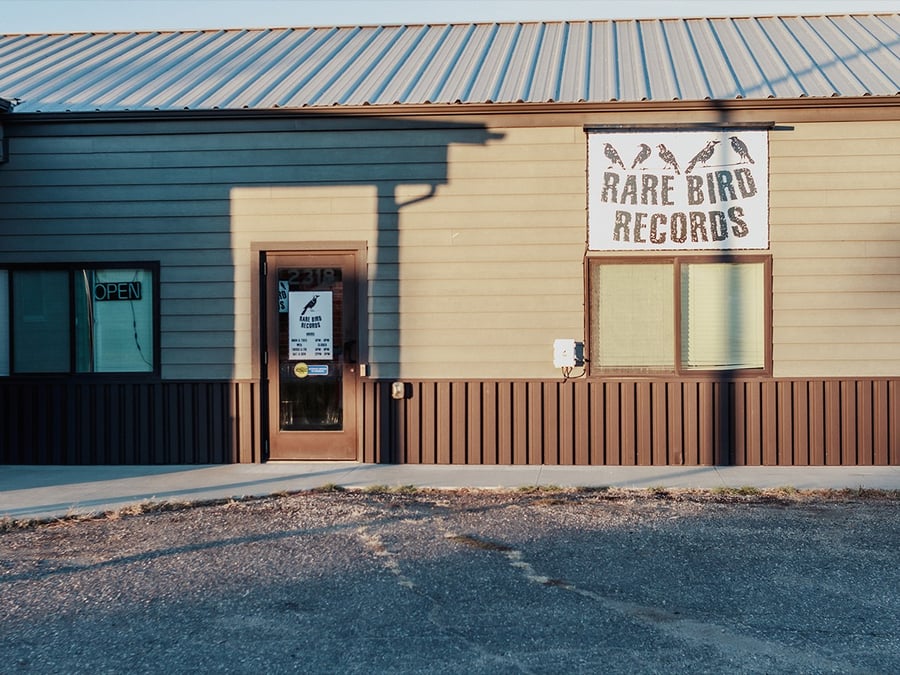 Rare Bird Records