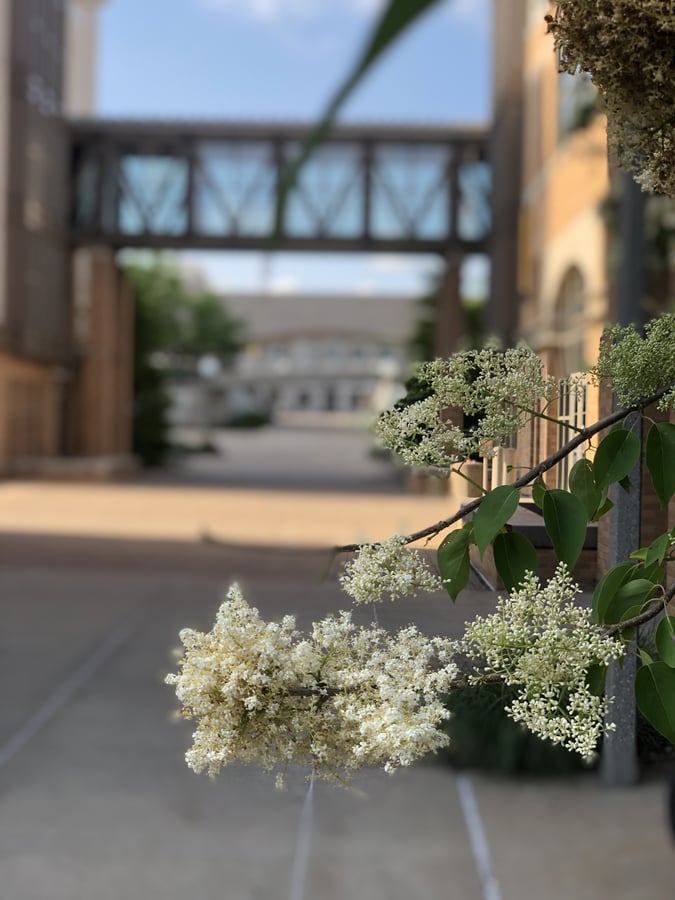 Virginia Avenue Amphitheater