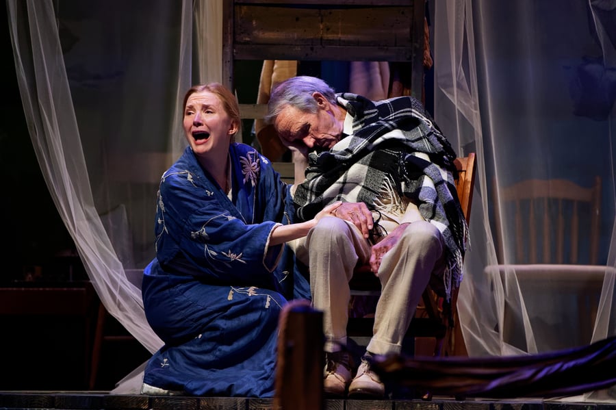 Tennessee Williams Festival St. Louis