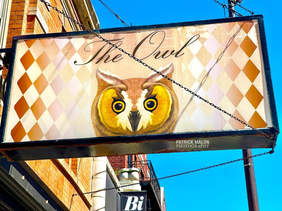 The Owl