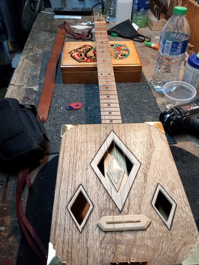 Soul Cat Guitar Uke & Amp