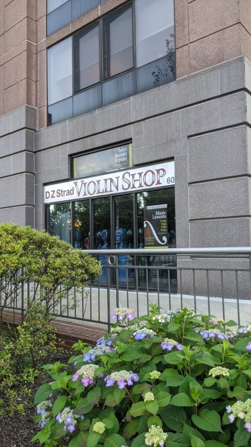D Z Strad Violin Shop