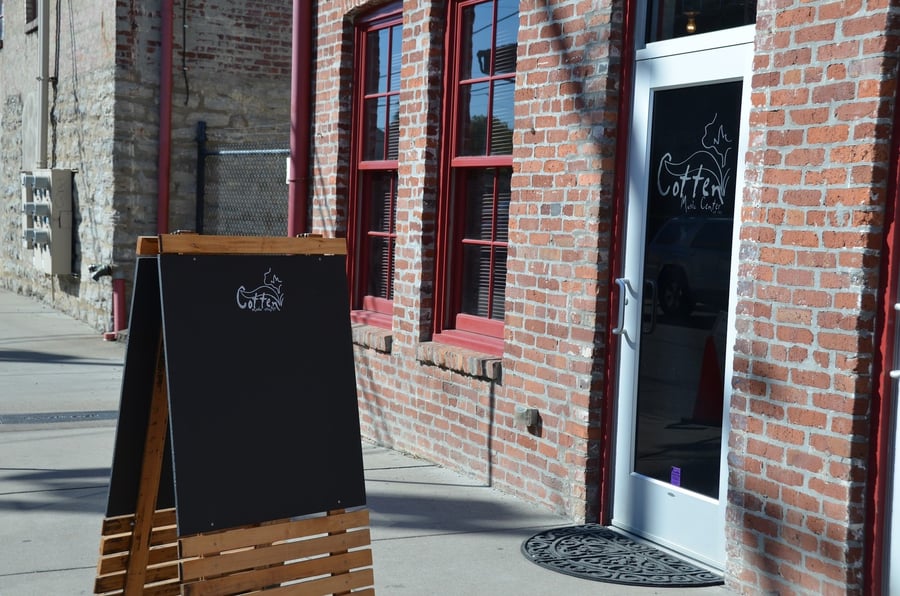 The North American Guitar