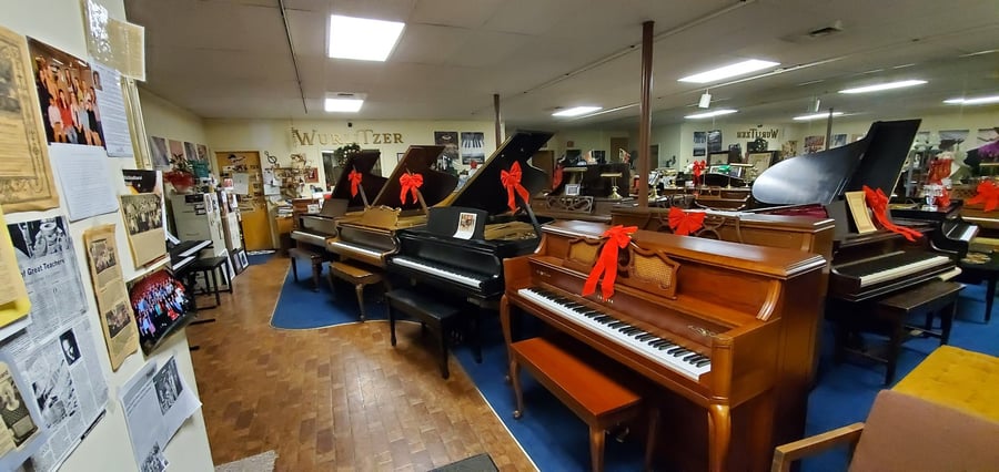 Andrea Bogusko Music Co