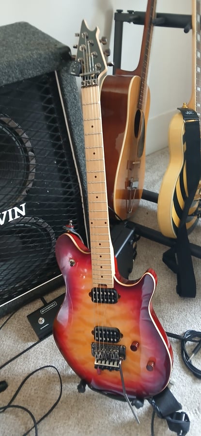 For The Love Of Guitar